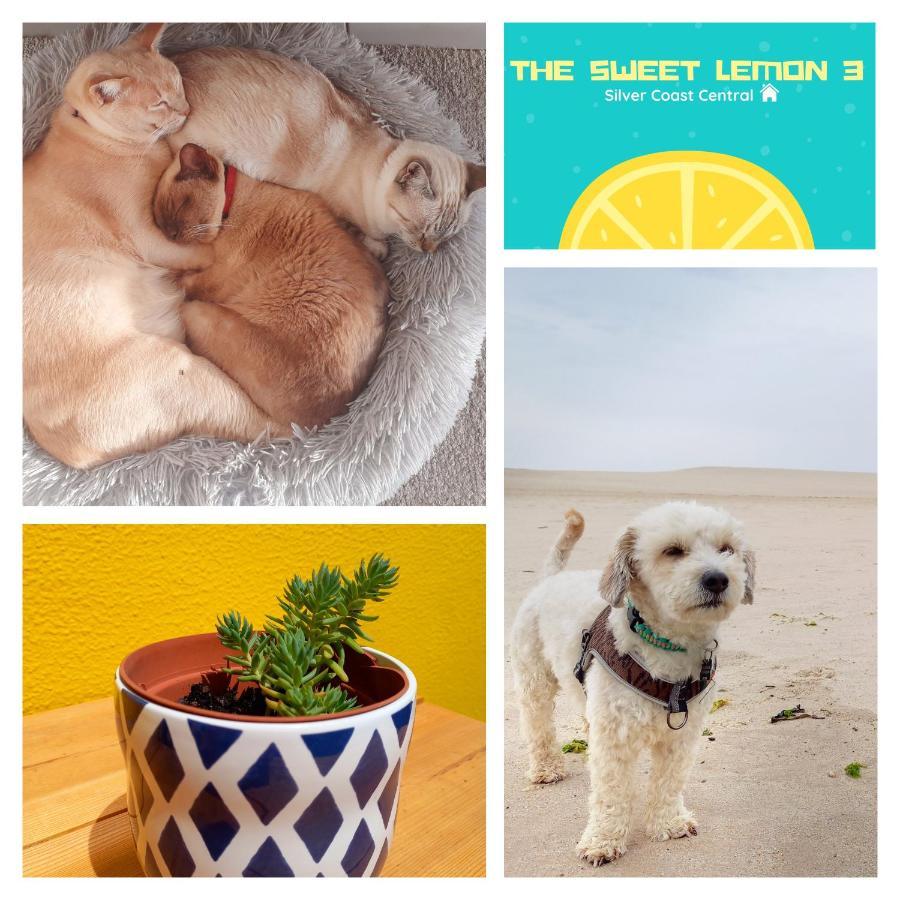 The Sweet Lemon 3 Διαμέρισμα Bombarral Εξωτερικό φωτογραφία